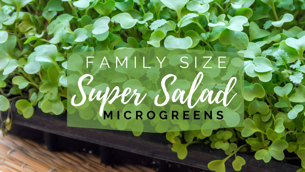 Family Size Super Salad