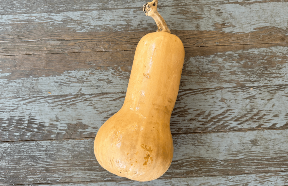 Butternut Squash