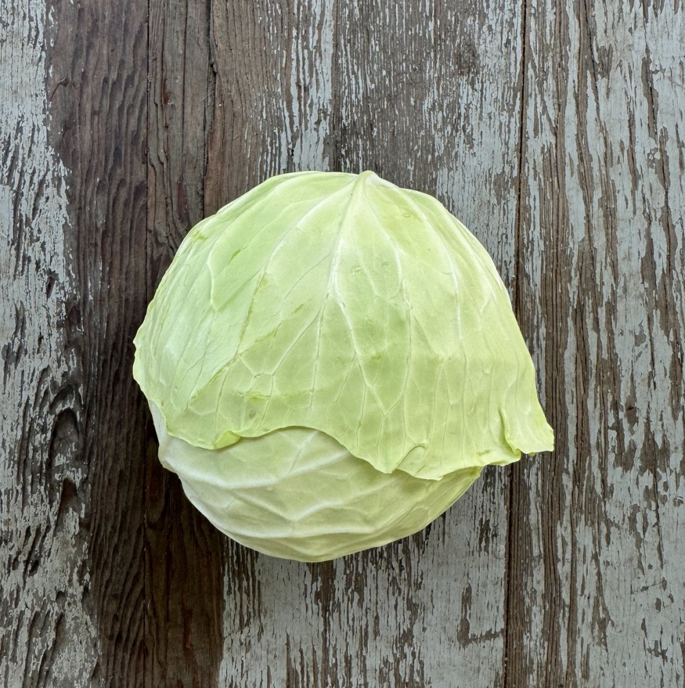 Flat Cabbage