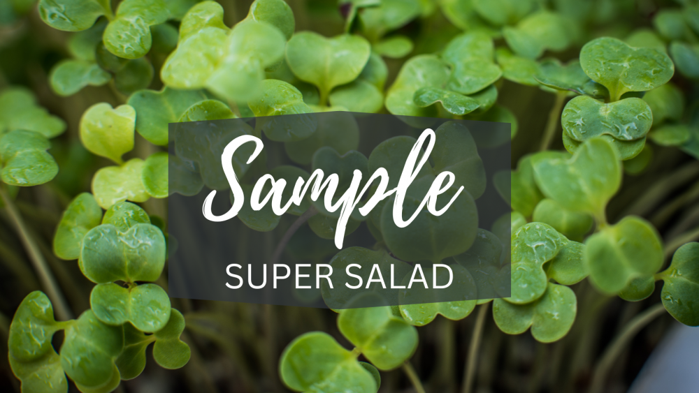 Sample - Super Salad