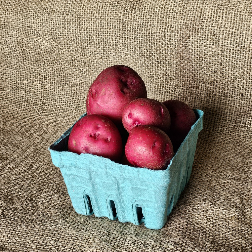 Potato - Red