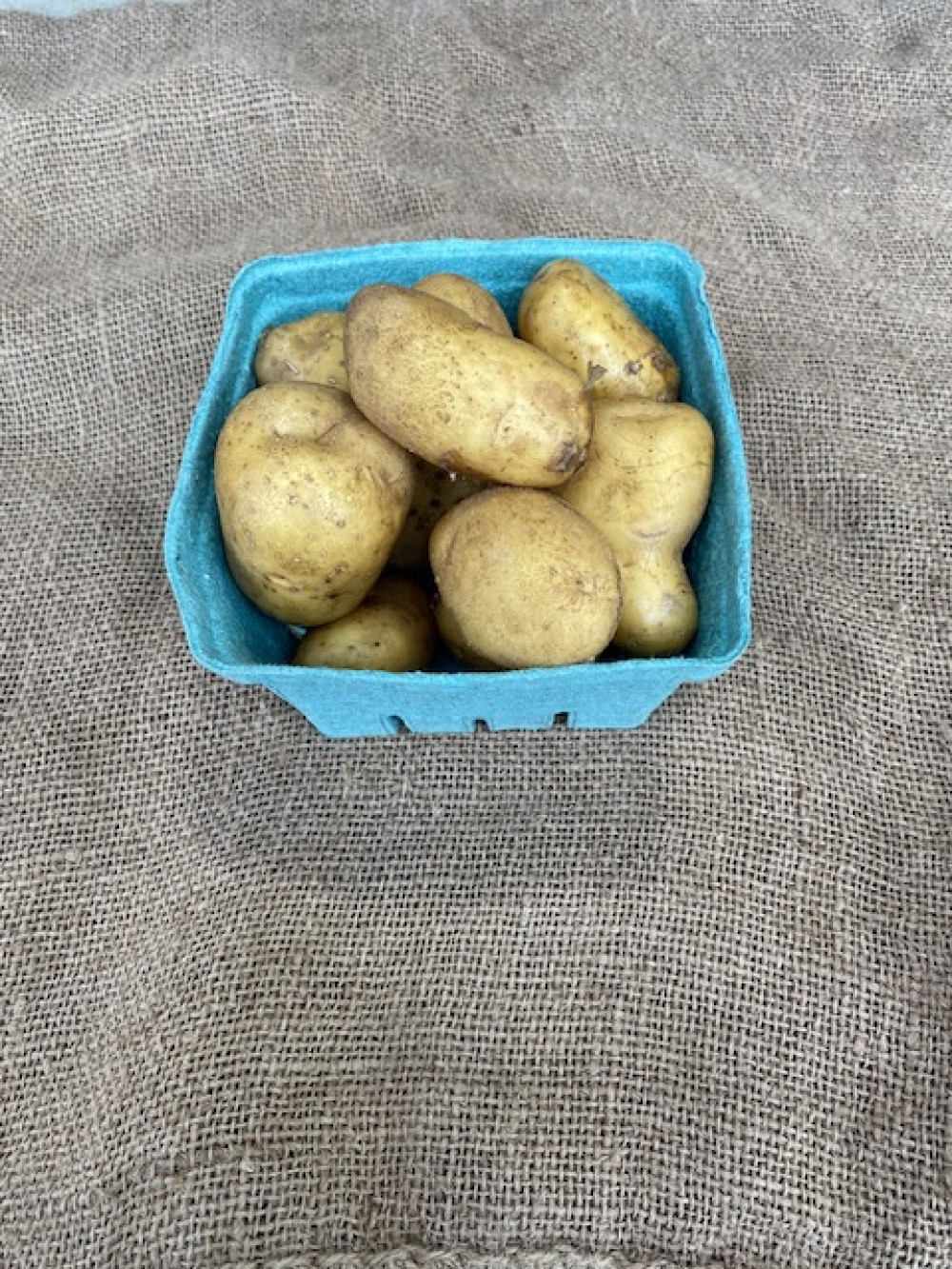 Potato - Yellow