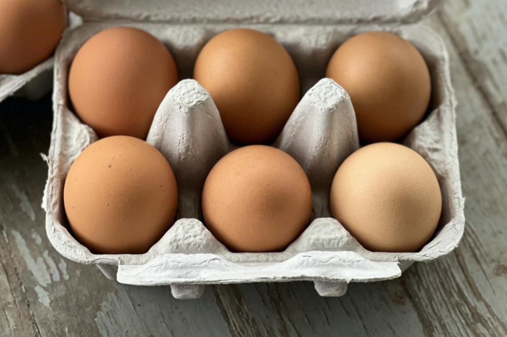 3 Dozen Large Eggs-Pastured, Non-GMO