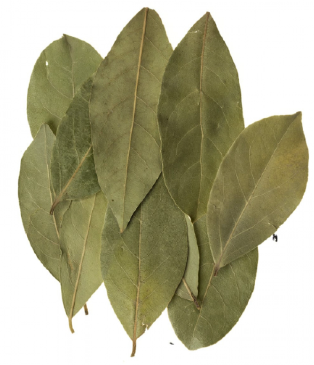 Dried Bay Leaves