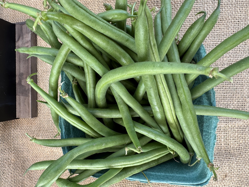 Green beans