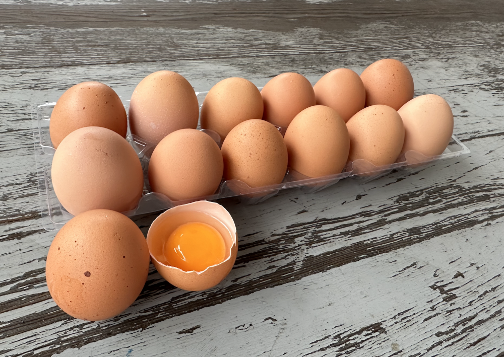 Free Eggs