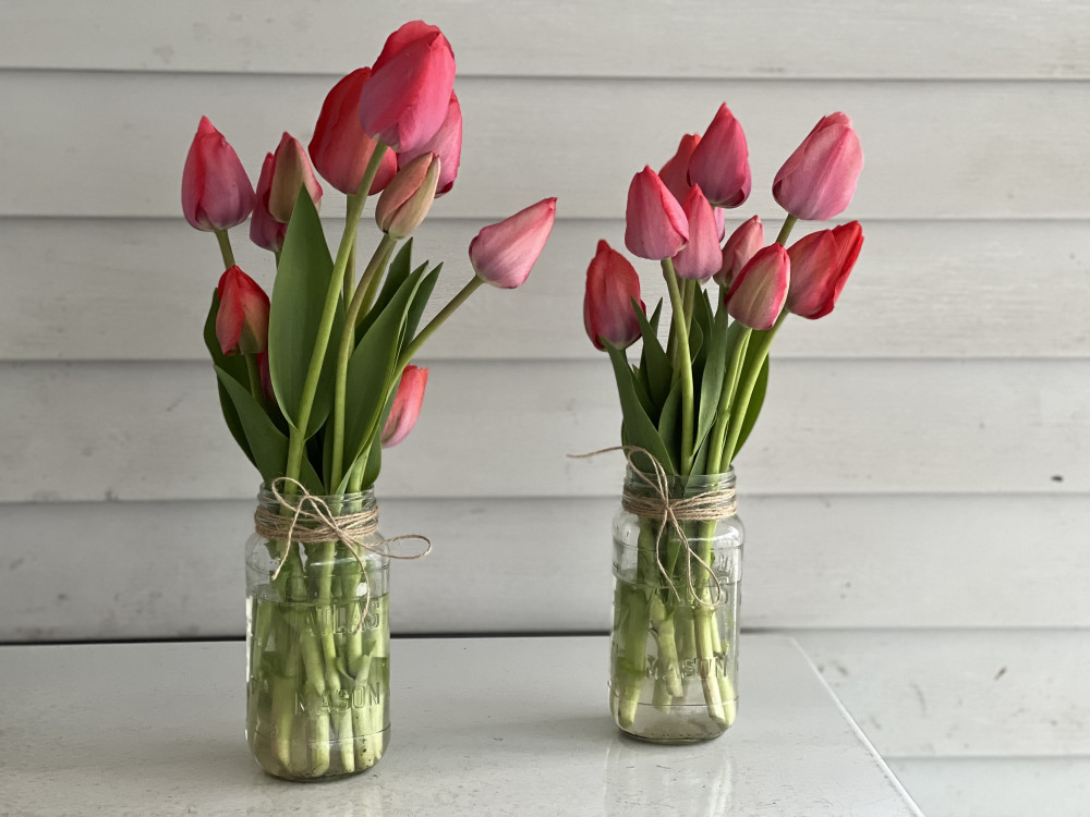 Tulips in a mason jar
