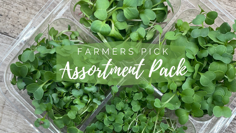 Farmer's Pick