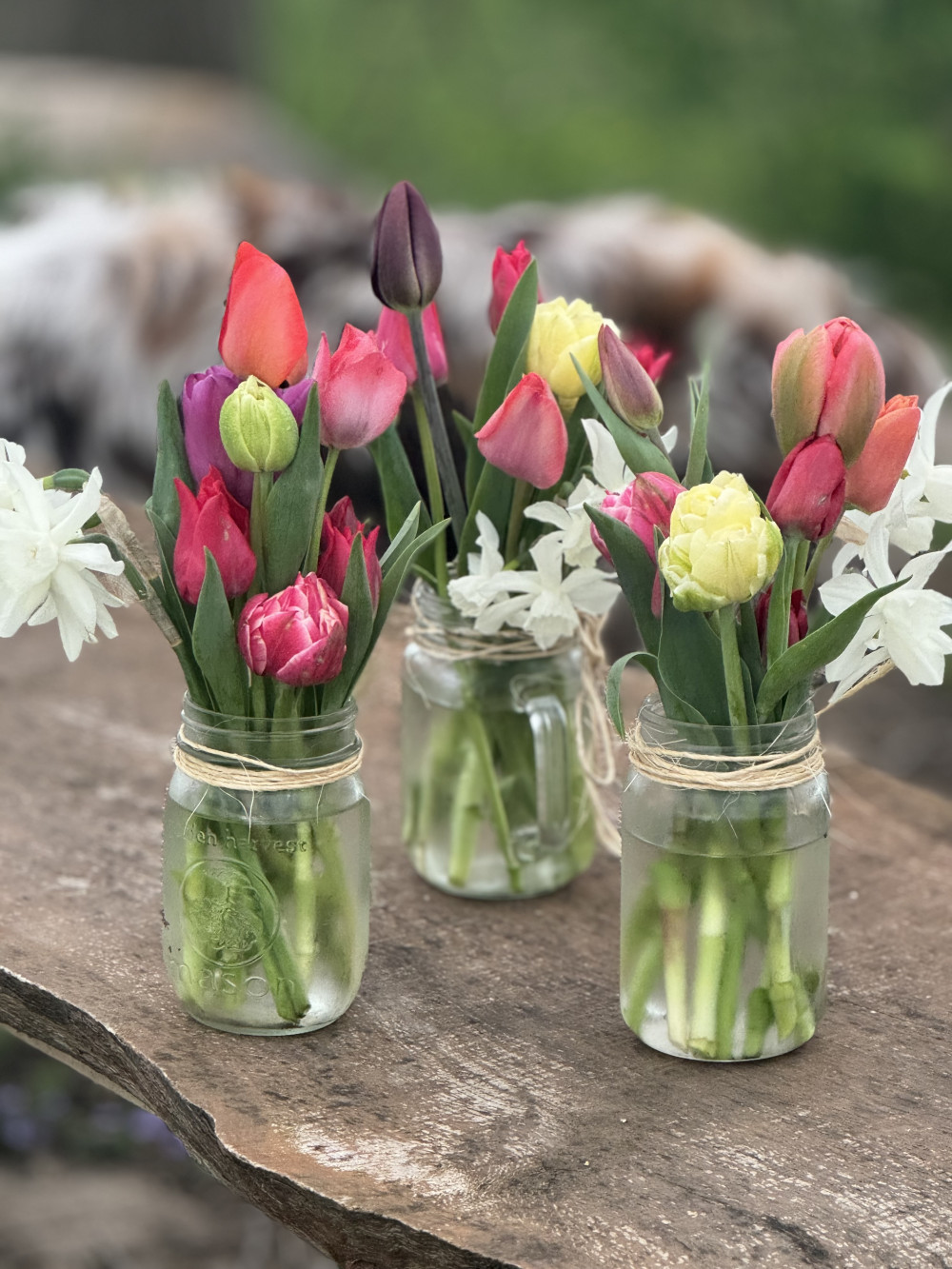 Spring tulip bouquet