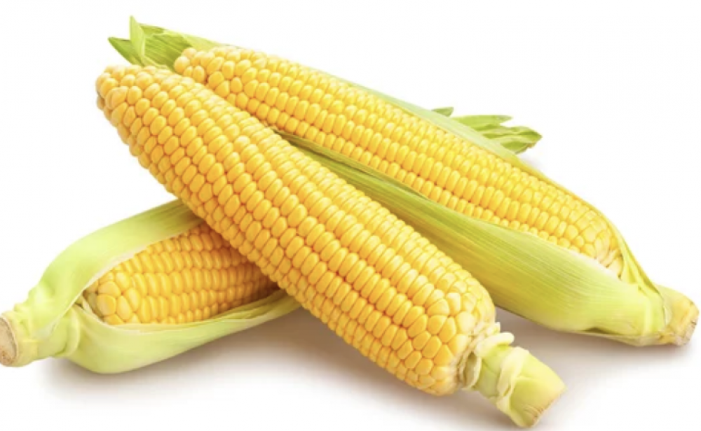 Sweet corn