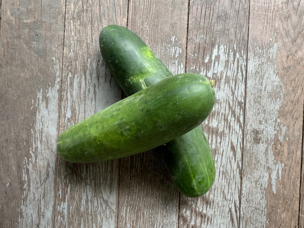Organic Slicing cucumbers