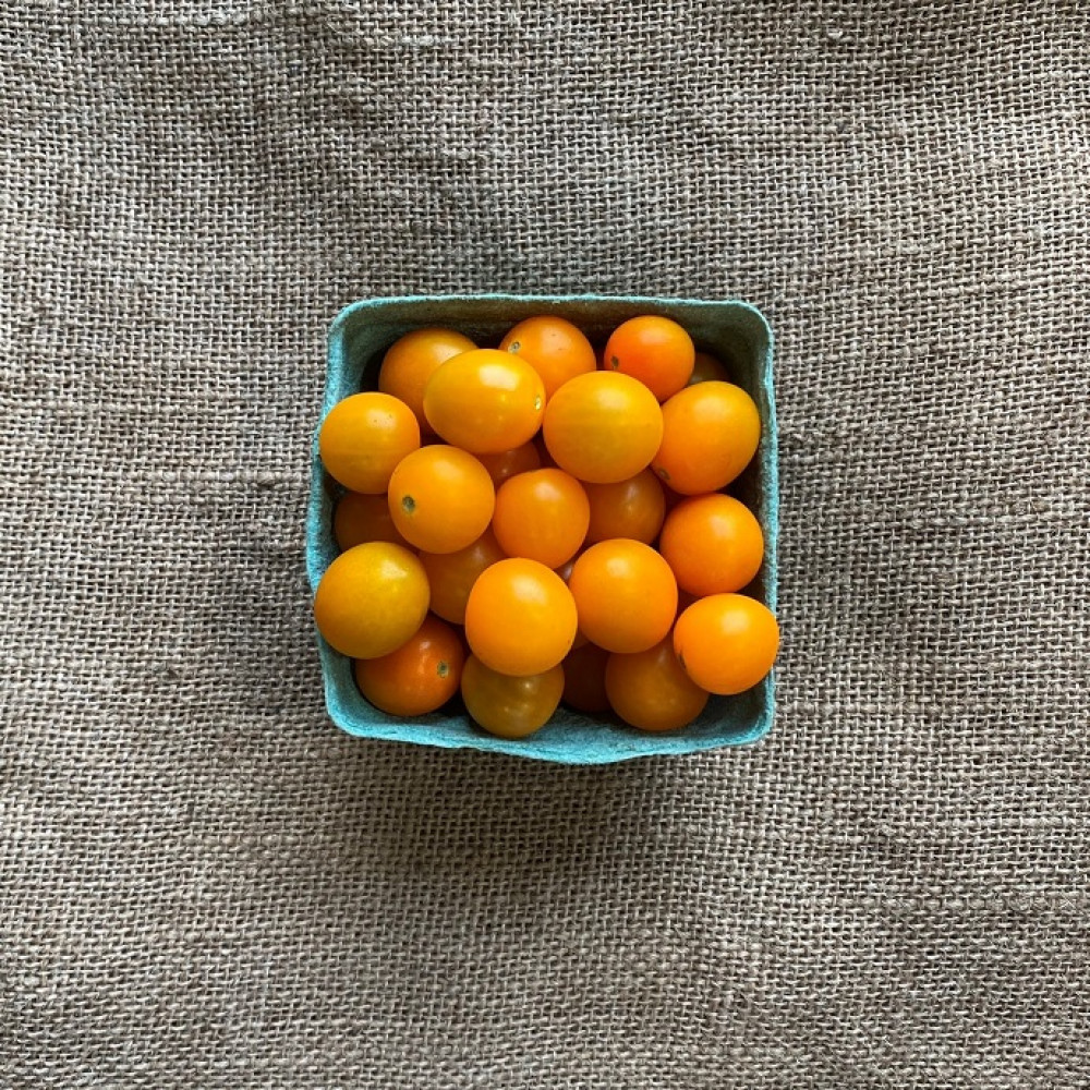 Cherry Tomato - Orange