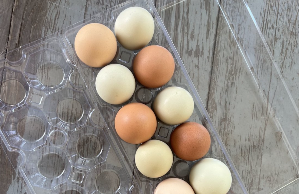 Rainbow Hatching Eggs