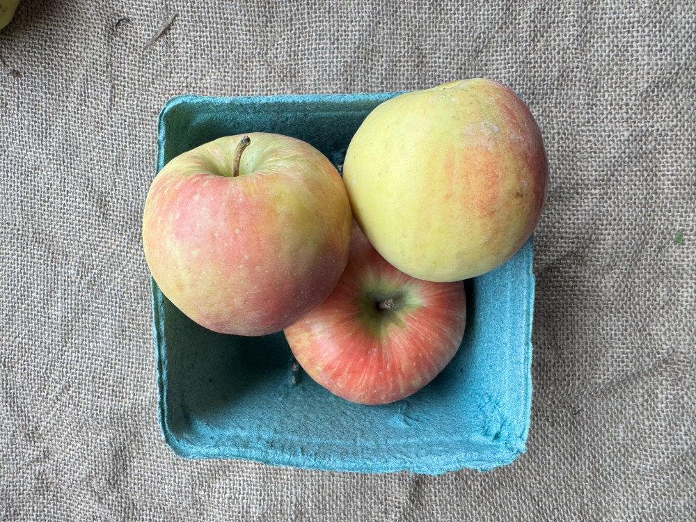 Honey crisp apples