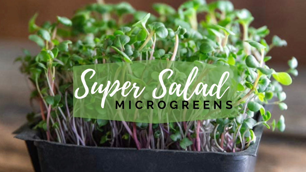 Super Salad Mix