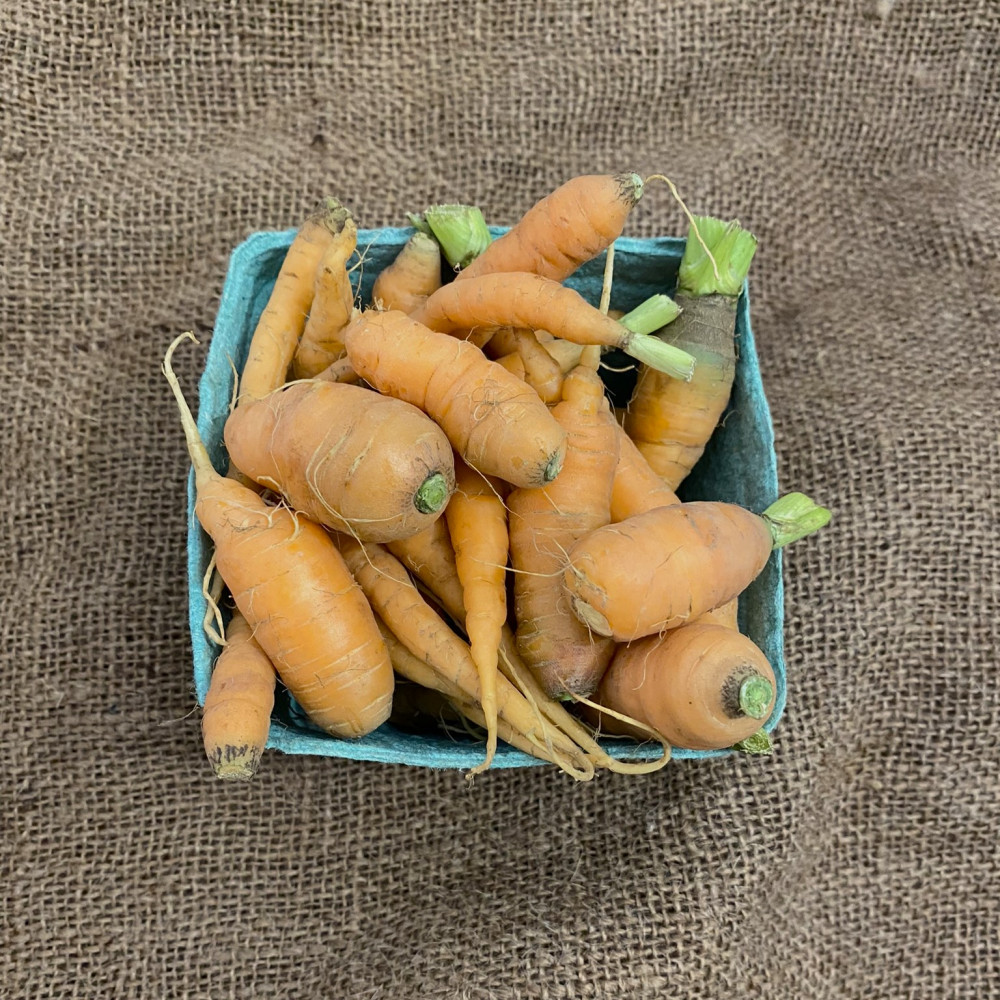 WHOLESALE baby carrot