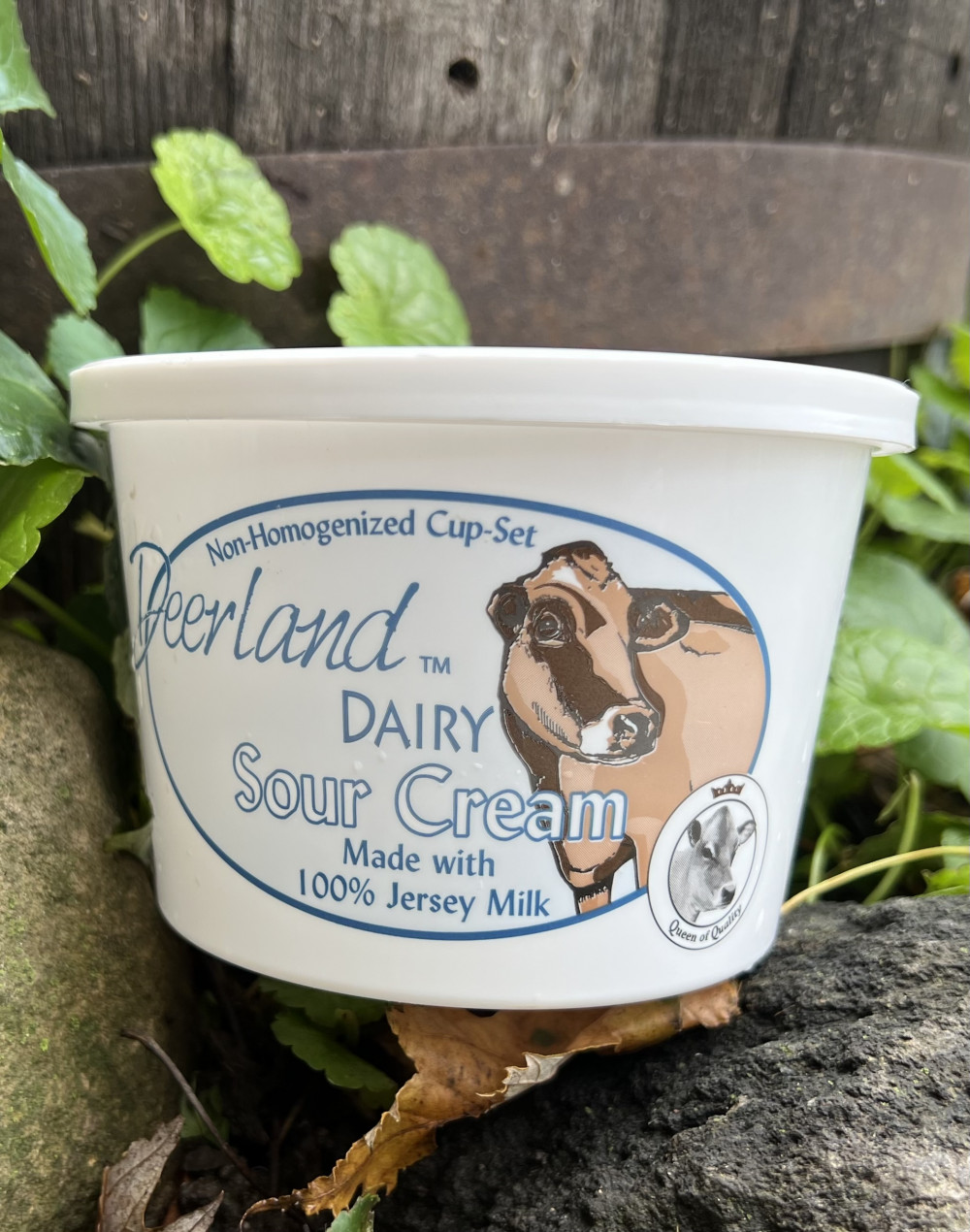 Deerland dairy sour cream