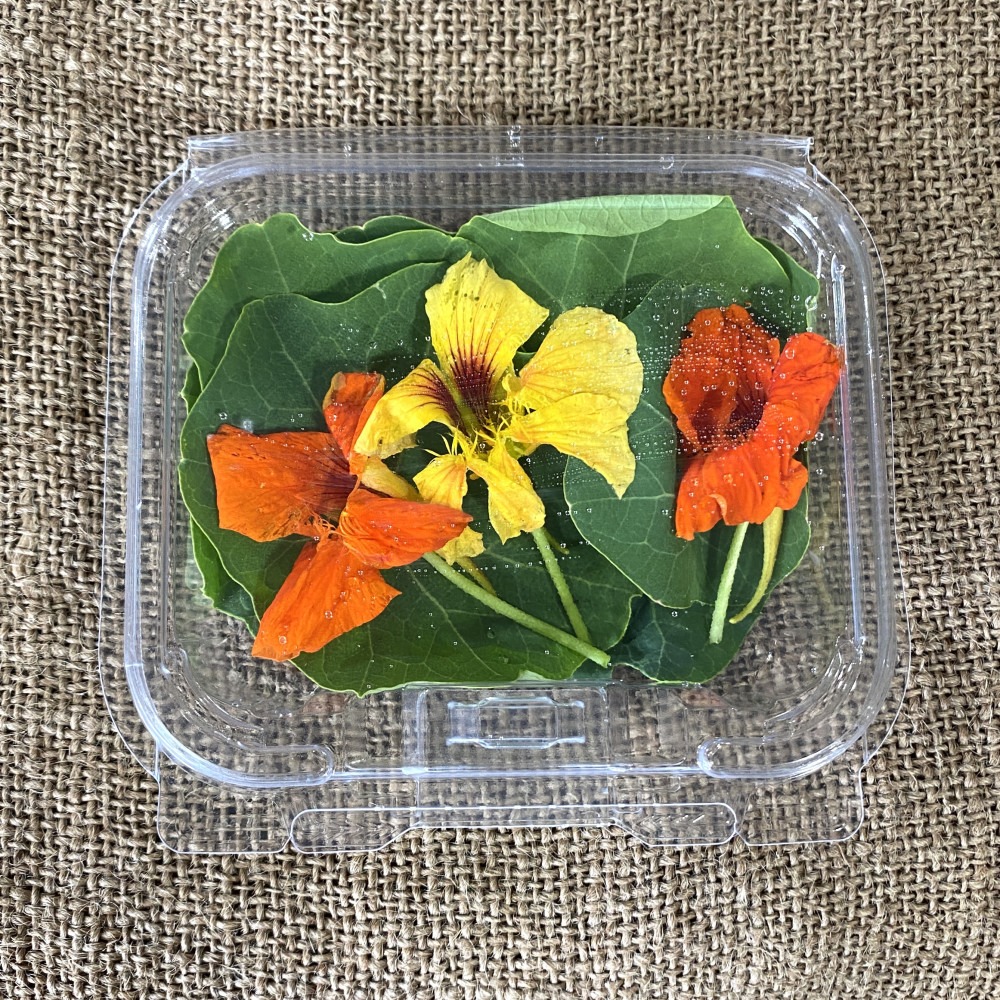 Edible Flowers - Nasturtium