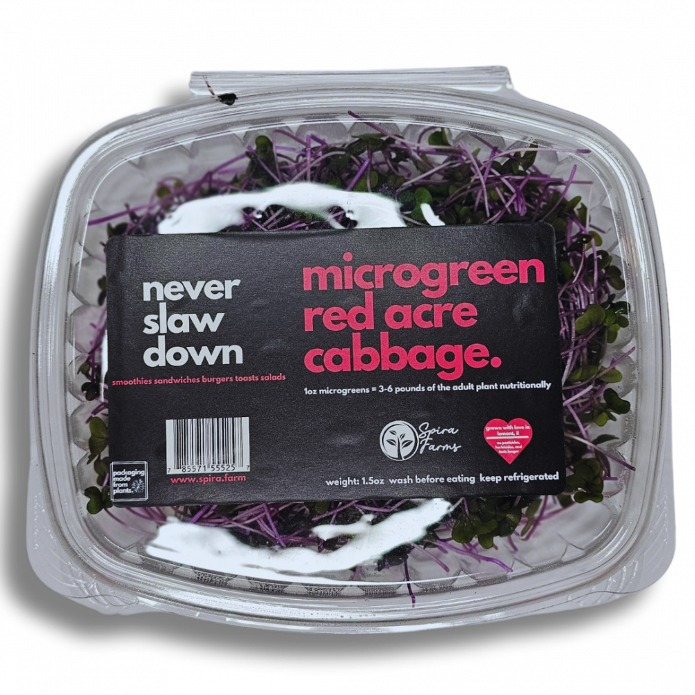 Red Acre Cabbage