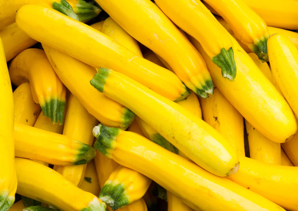 Summer Squash (Yellow Zucchini)