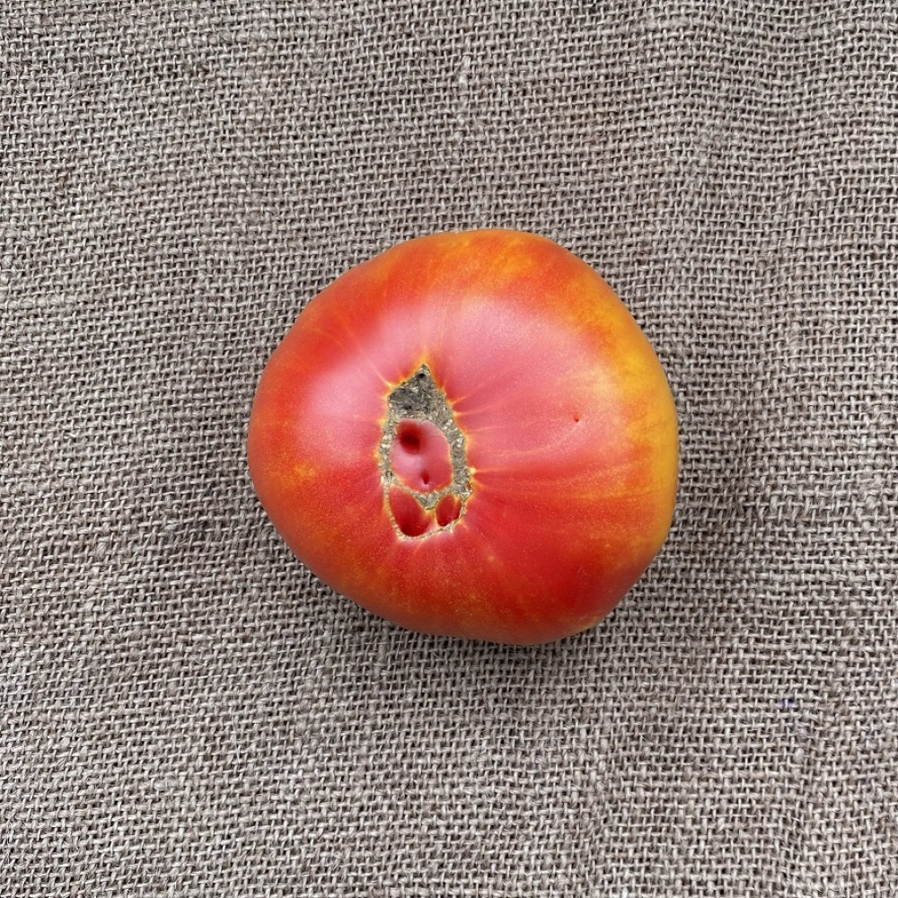 Heirloom Tomato - Striped German