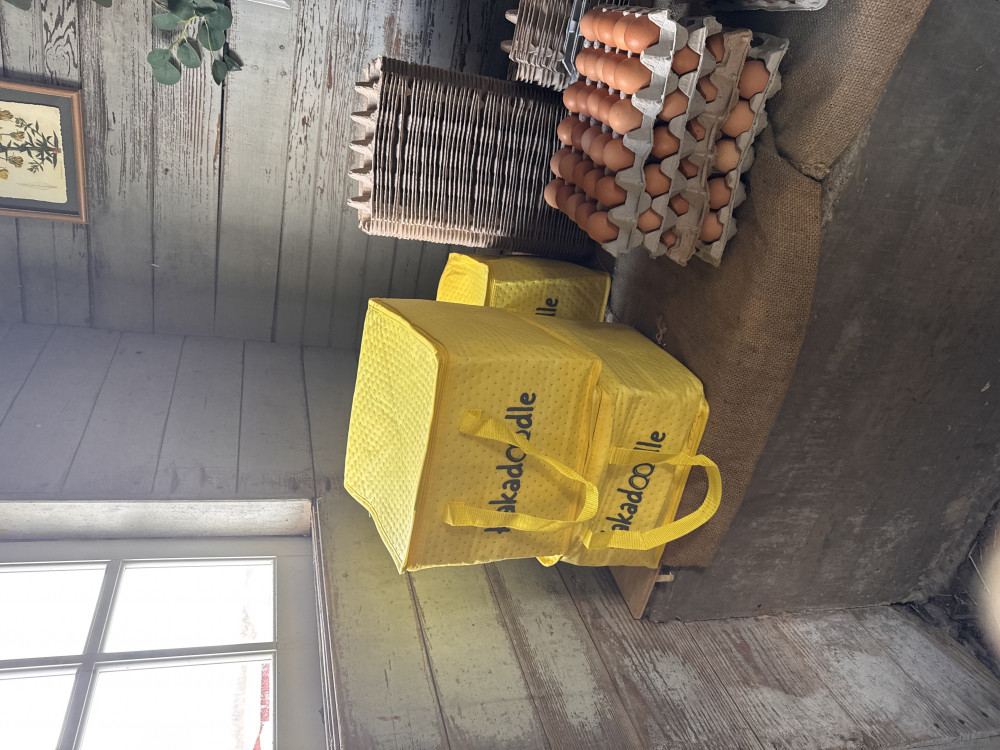 Wholesale unwashed box of egg cartons