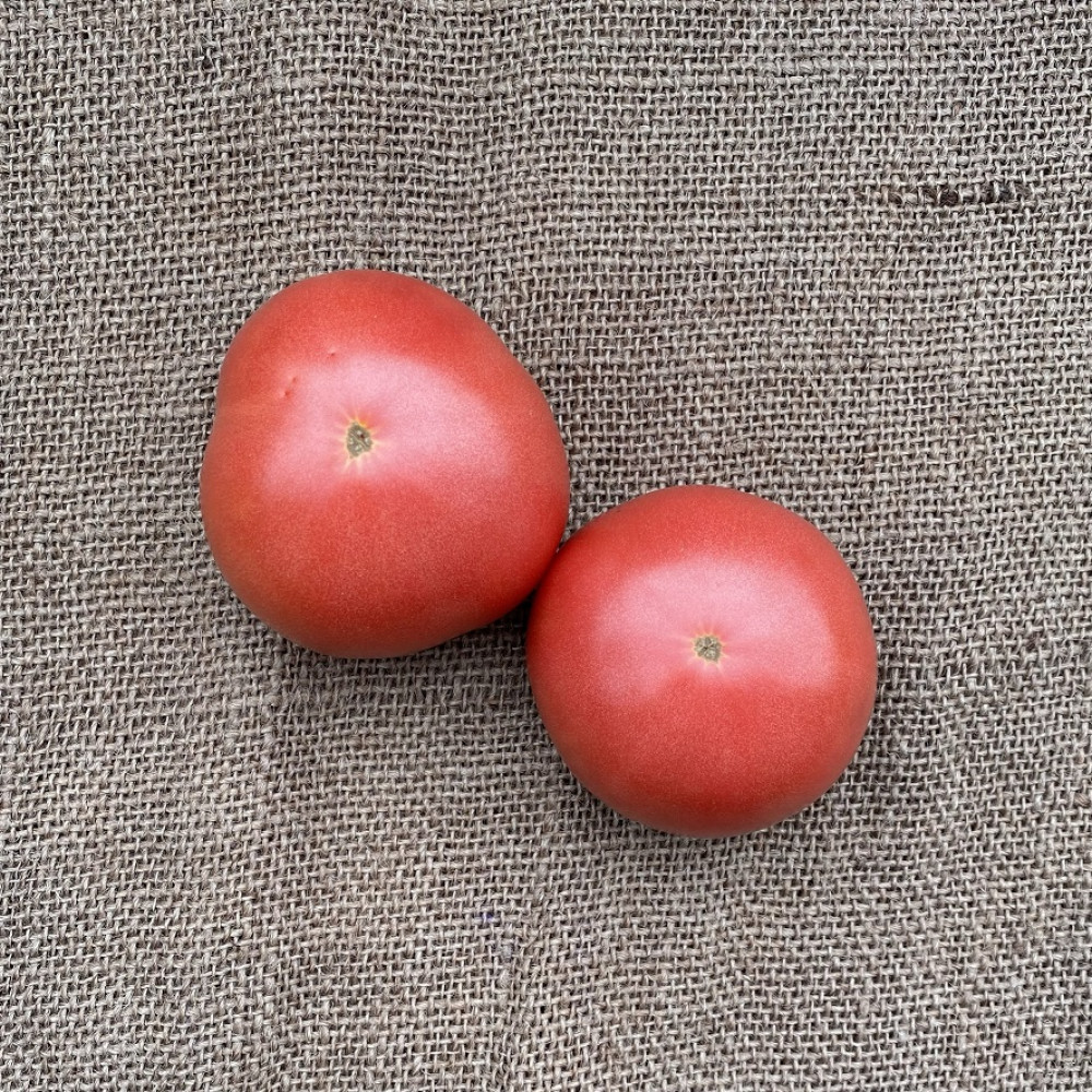 Heirloom Tomato - Bandywine