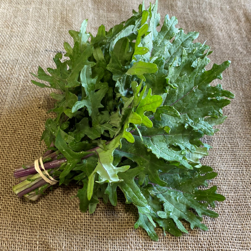 Kale, Red Russian