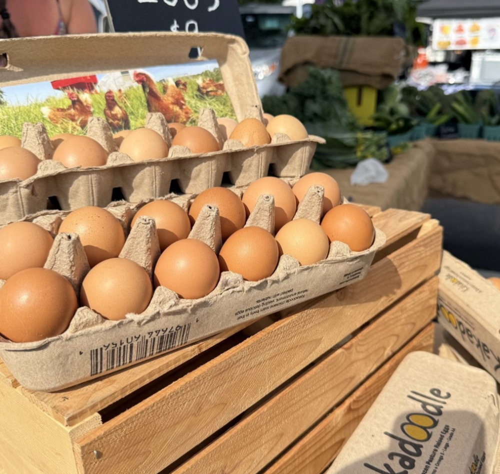 Small eggs whole sale