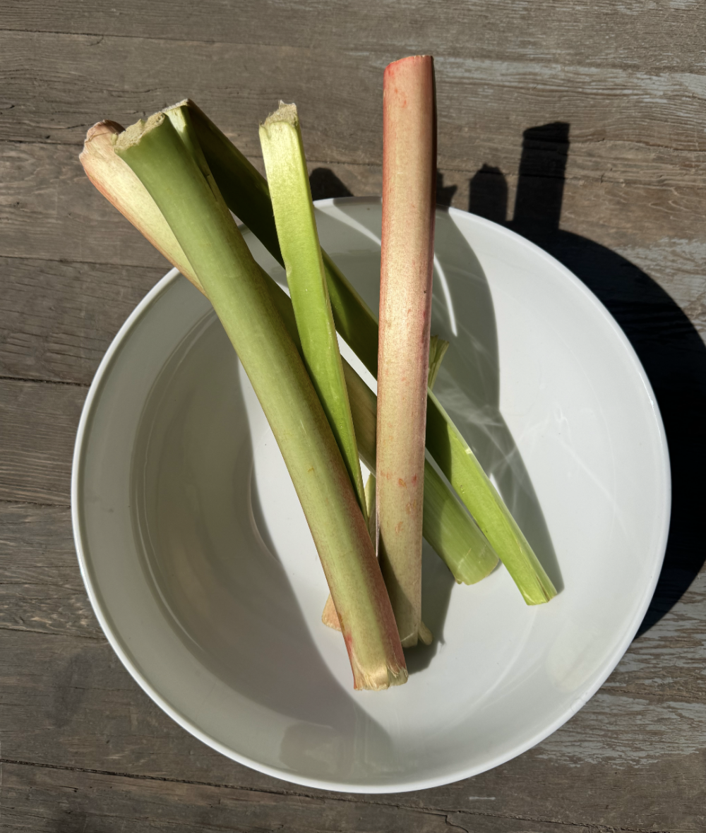 Rhubarb