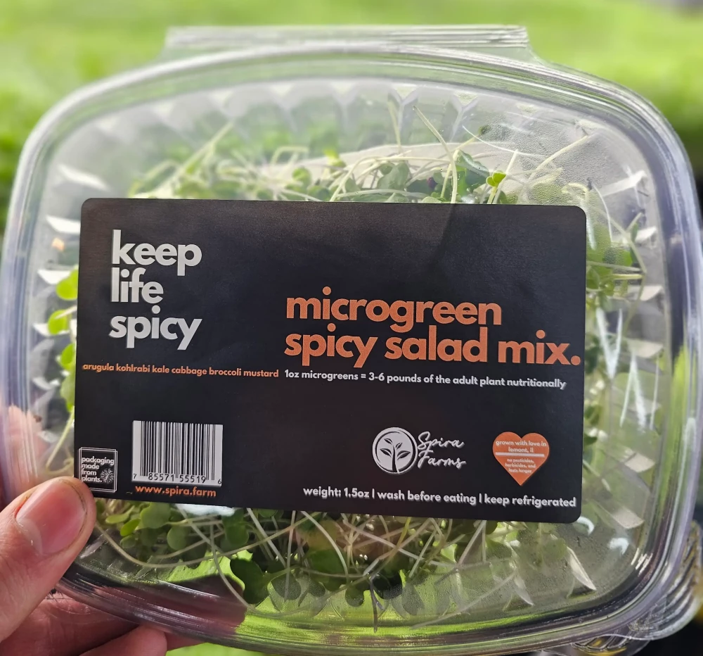Spicy Salad Mix