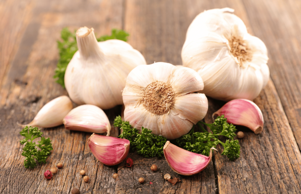 Garlic