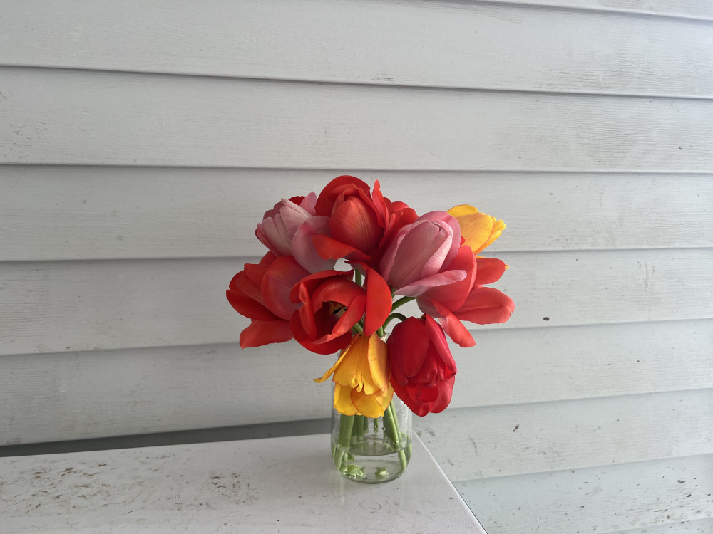 Short but sweet fully bloomed tulip bouquet