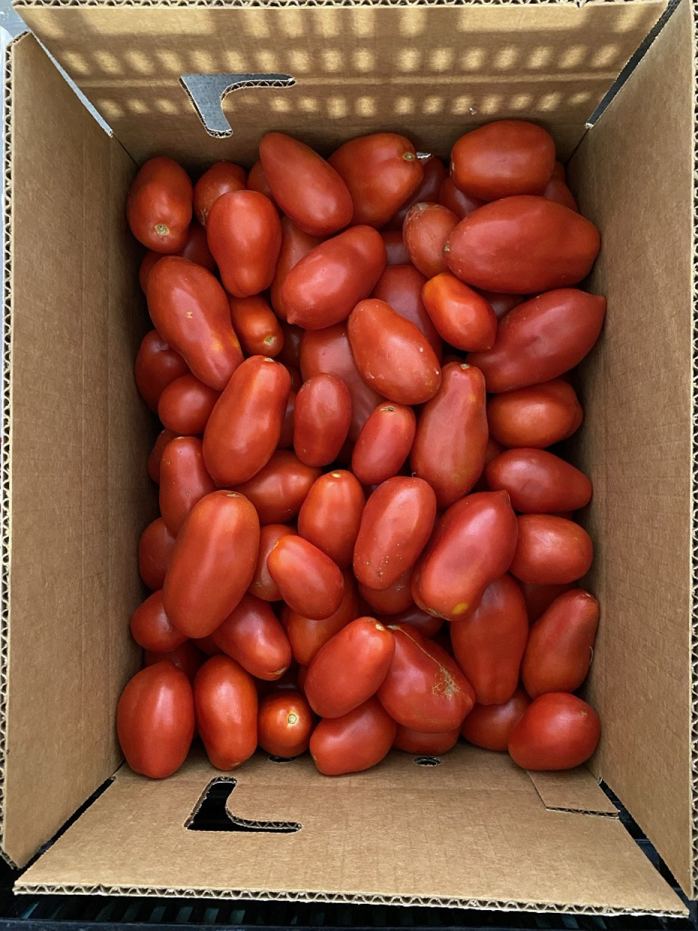 Canner box - sauce tomatoes